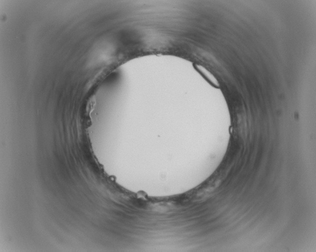 X0000077360508200611171926