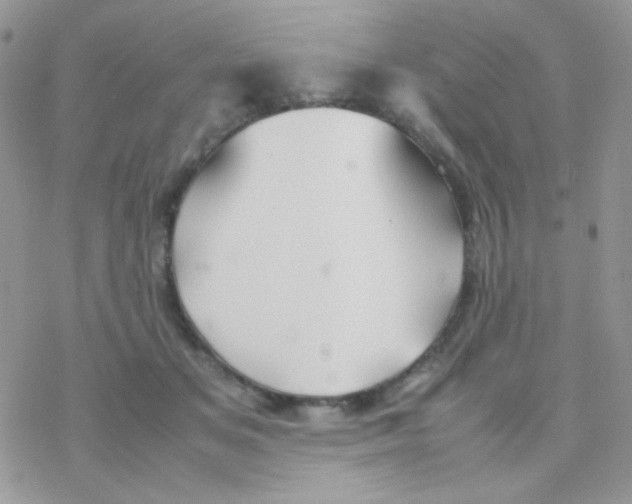 X0000077360509200611171926