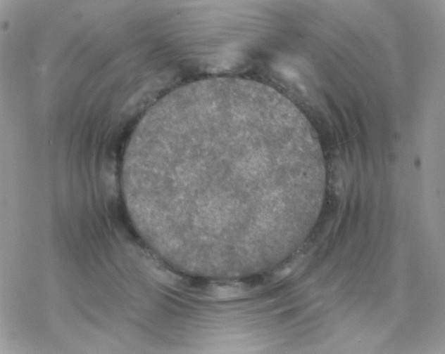 X0000077360510200611171926