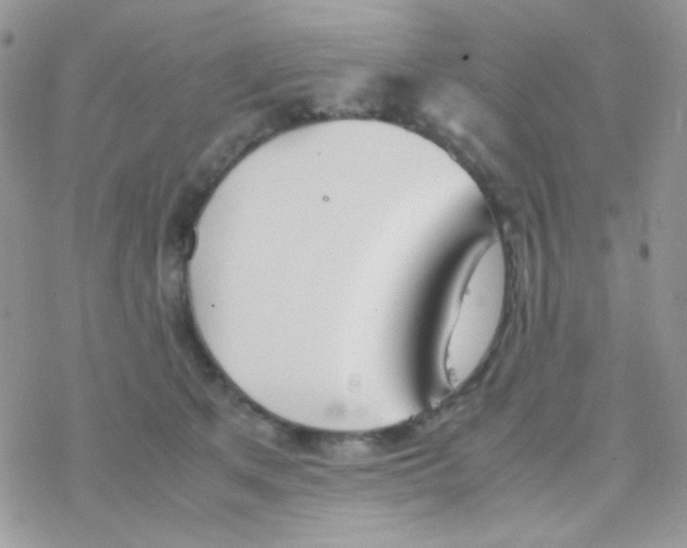 X0000077360513200611171926