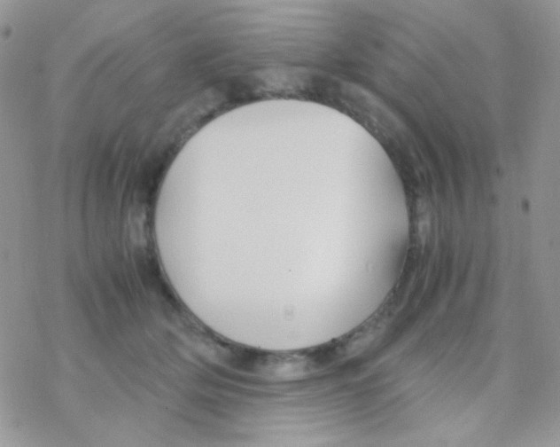 X0000077360514200611171926