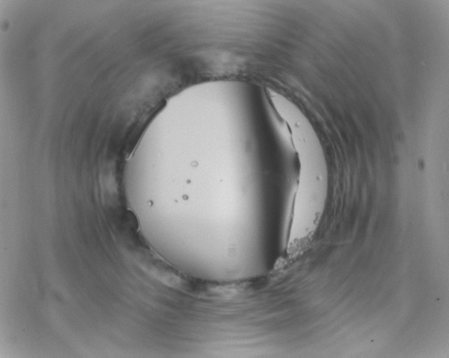 X0000077360516200611171926