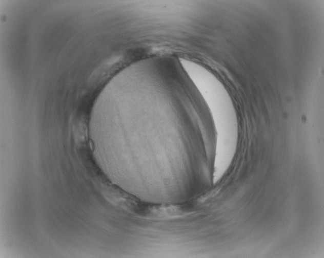 X0000077360517200611171926