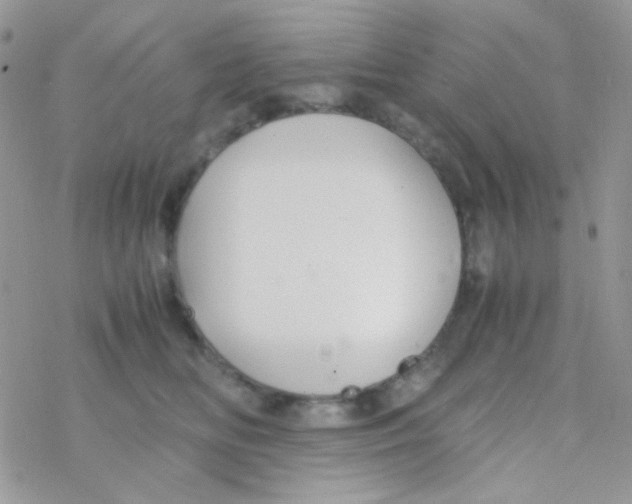 X0000077360518200611171926