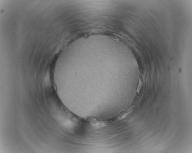 X0000077360520200611171926