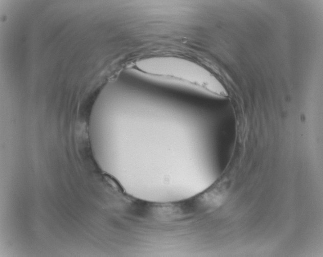 X0000077360521200611171926