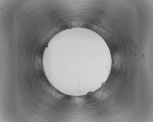 X0000077360522200611171926