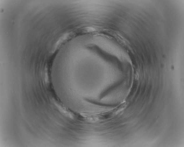 X0000077360524200611171926