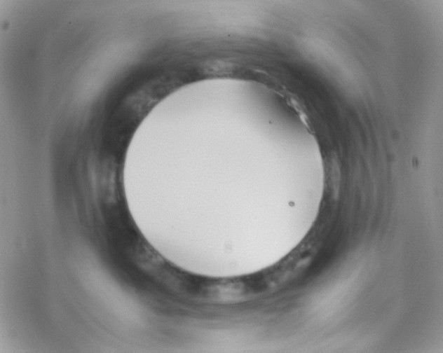 X0000077360525200611171926