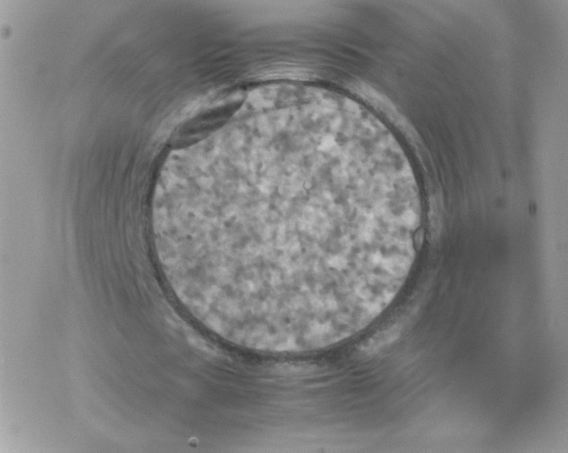 X0000077360529200611171925