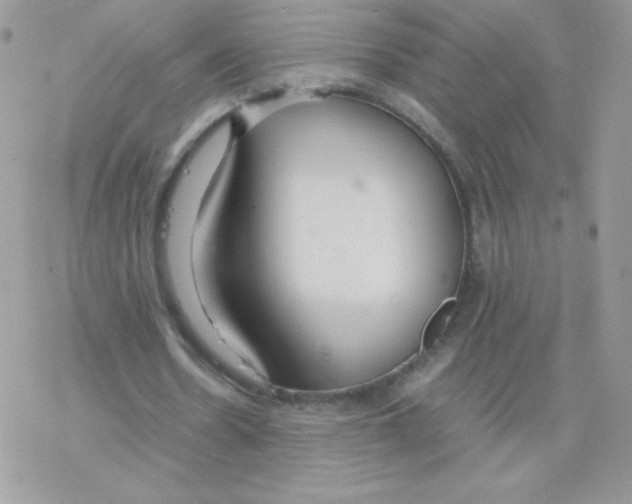 X0000077360530200611171925