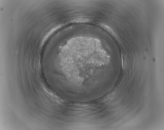 X0000077360531200611171925