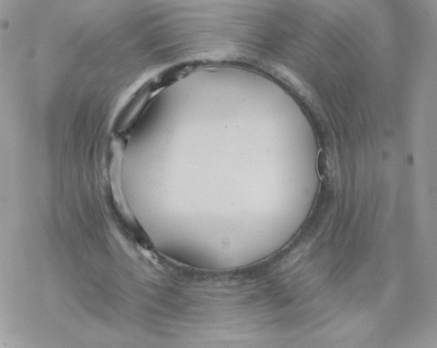 X0000077360532200611171925