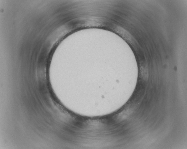 X0000077360534200611171925