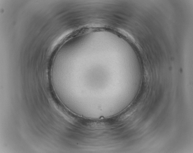 X0000077360535200611171925