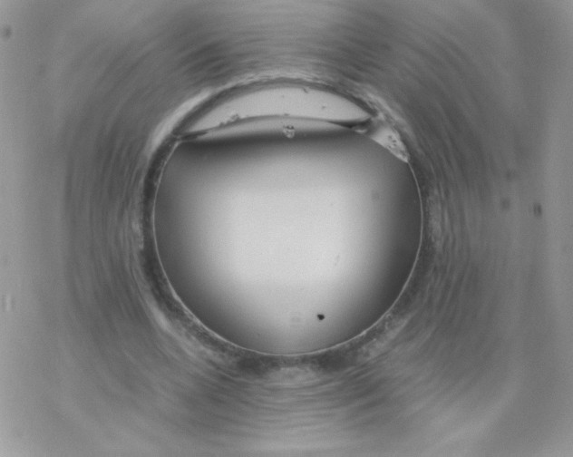 X0000077360536200611171925