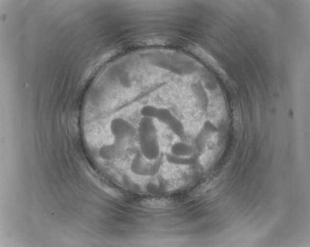 X0000077360537200611171925