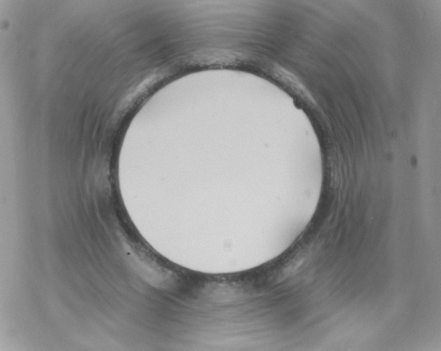 X0000077360538200611171926