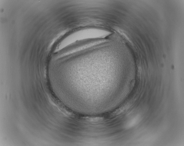 X0000077360539200611171926