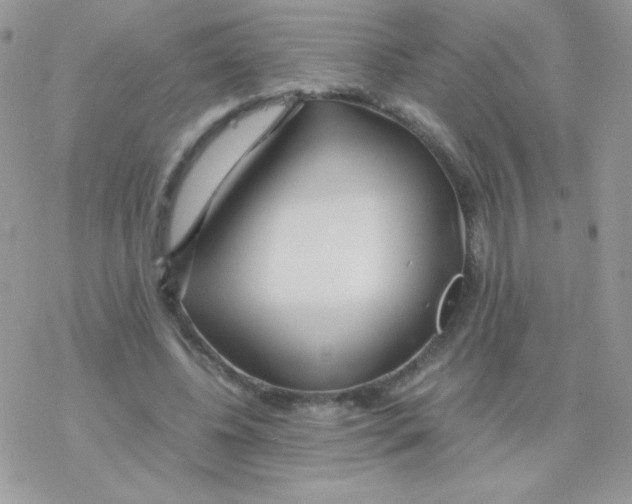 X0000077360540200611171926