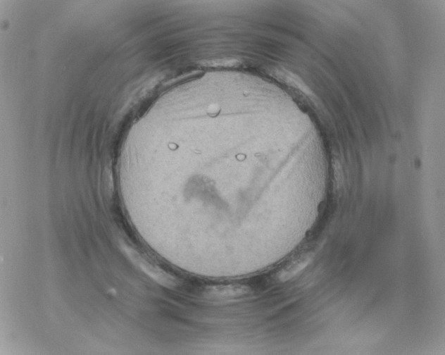 X0000077360541200611171926