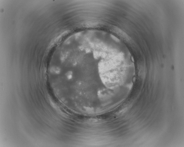 X0000077360542200611171926