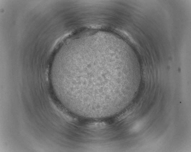 X0000077360543200611171926