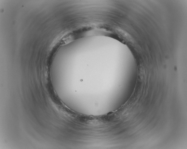 X0000077360544200611171926