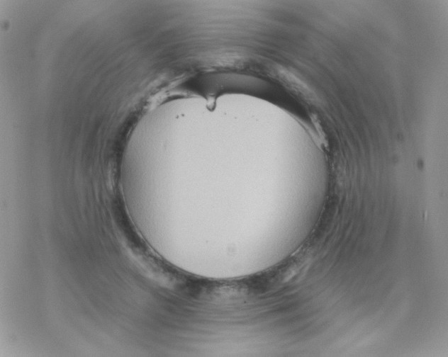 X0000077360546200611171926