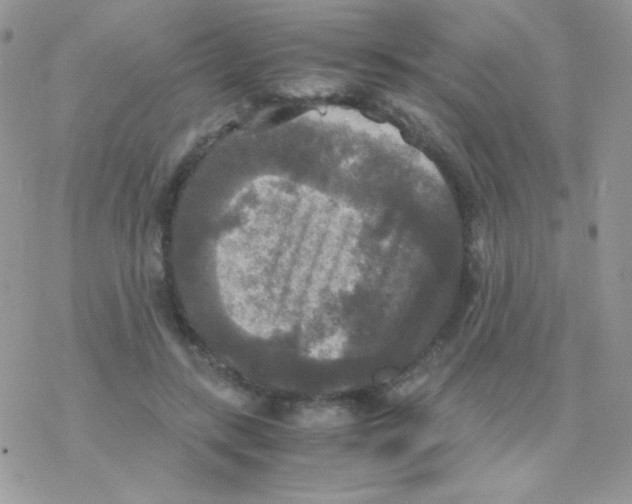 X0000077360547200611171926