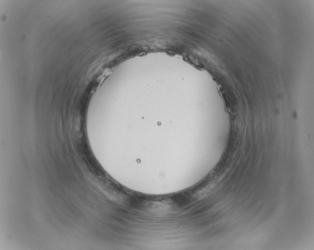 X0000077360548200611171926