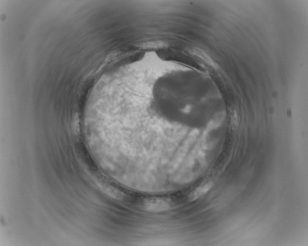 X0000077360549200611171926