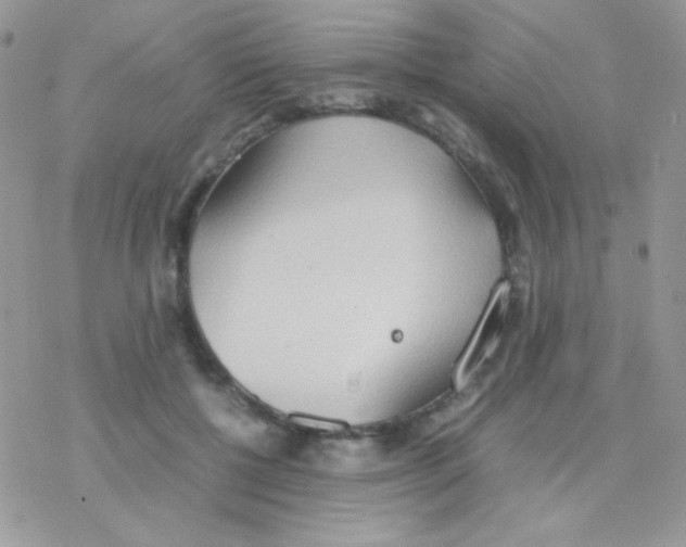 X0000077360552200611171926