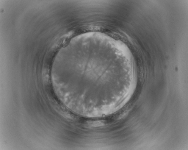 X0000077360553200611171926