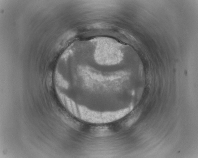 X0000077360554200611171926