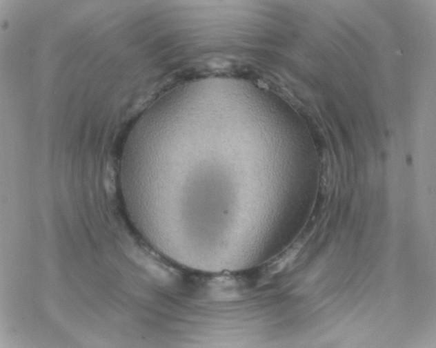 X0000077360562200611171926