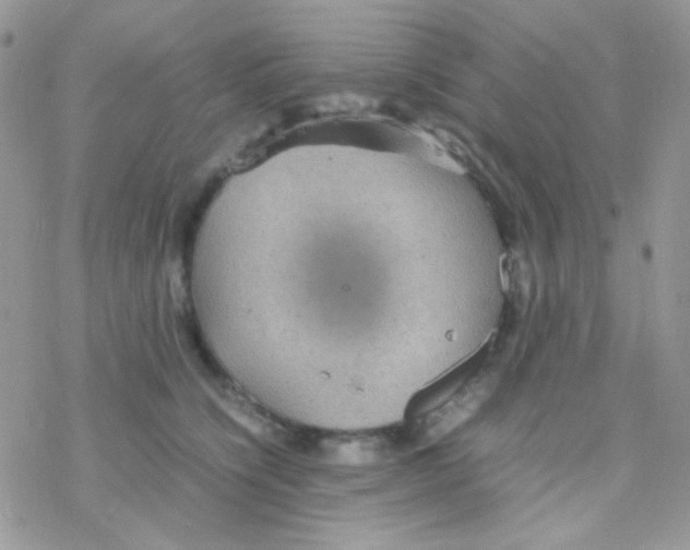 X0000077360564200611171926