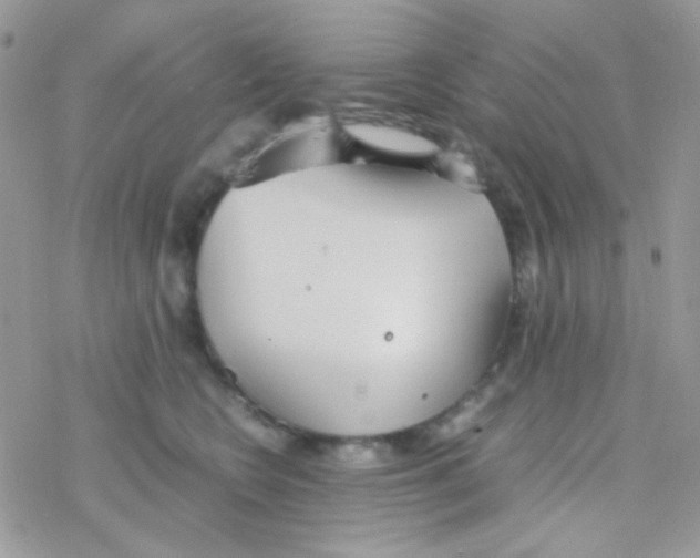 X0000077360566200611171926