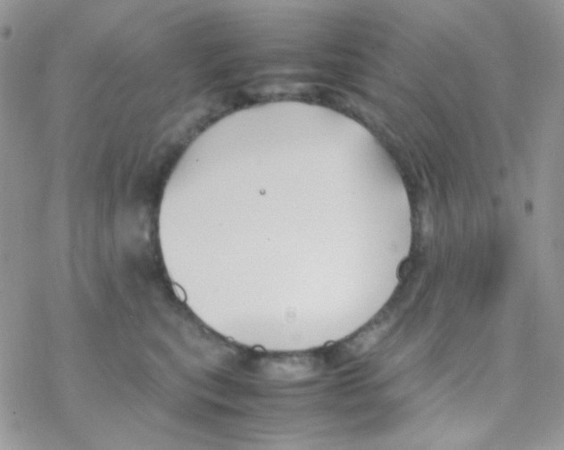 X0000077360567200611171926