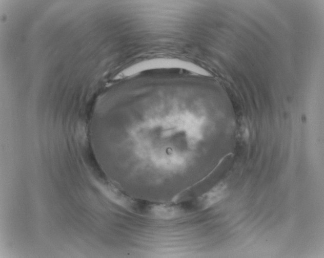 X0000077360568200611171926