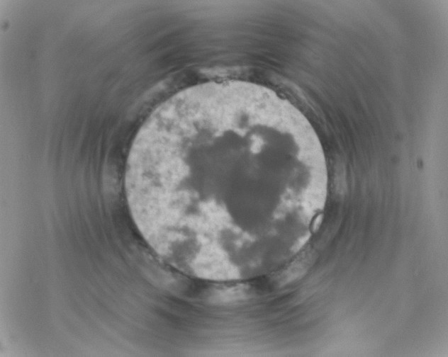 X0000077360569200611171926