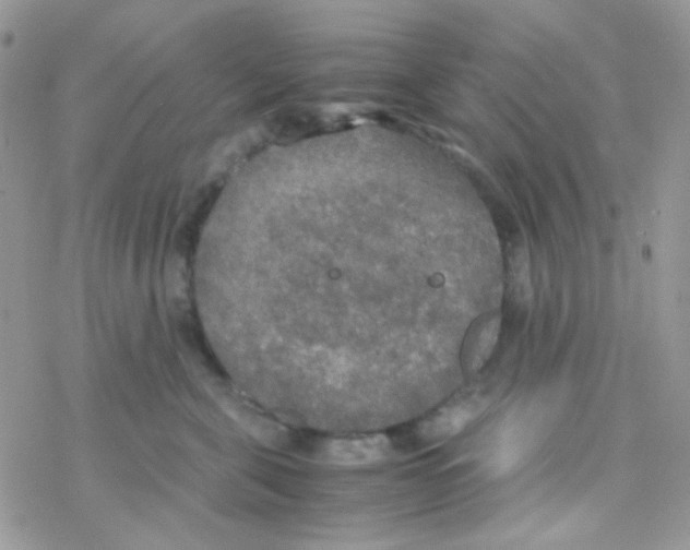 X0000077360571200611171926