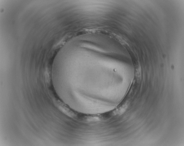 X0000077360572200611171926