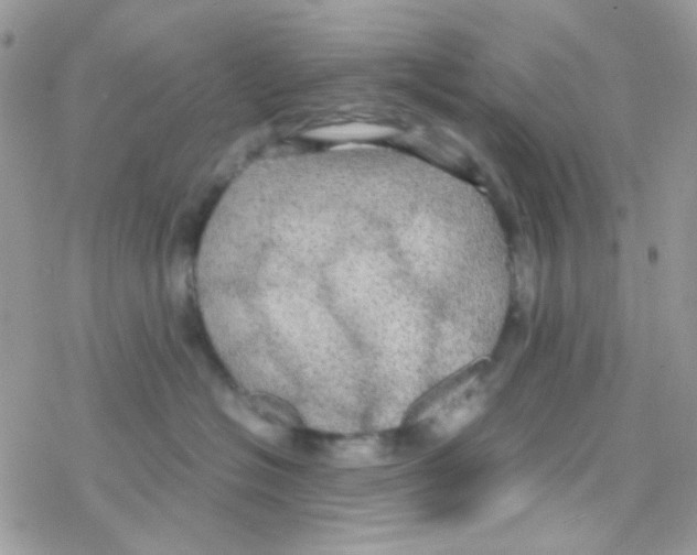 X0000077360574200611171926