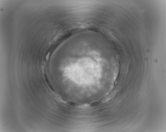 X0000077360576200611171926