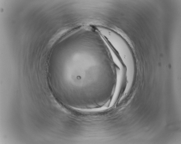 X0000077360577200611171925