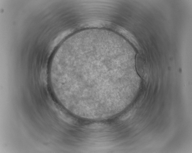 X0000077360578200611171925