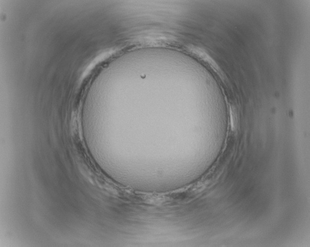 X0000077360579200611171925