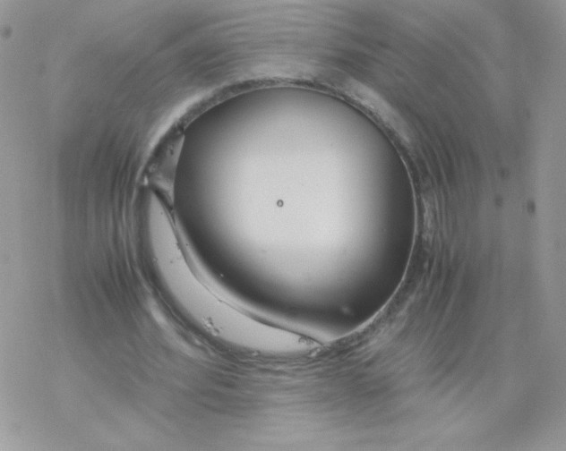 X0000077360580200611171925