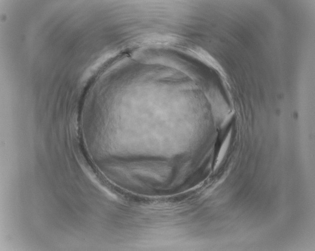 X0000077360581200611171925